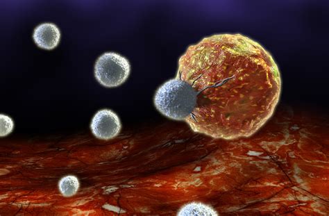 Combo immunotherapy makes waves of cancer.